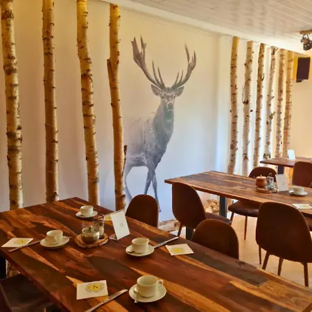 Harzresidenz Hotel 3*