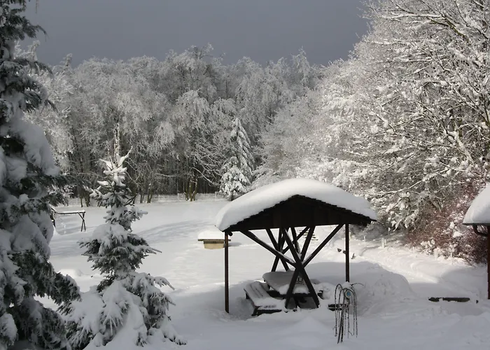 فندق Harzresidenz ثال