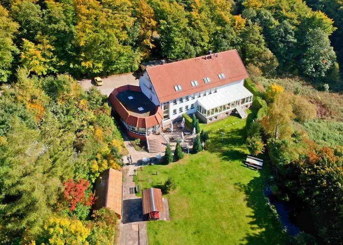 Harzresidenz فندق