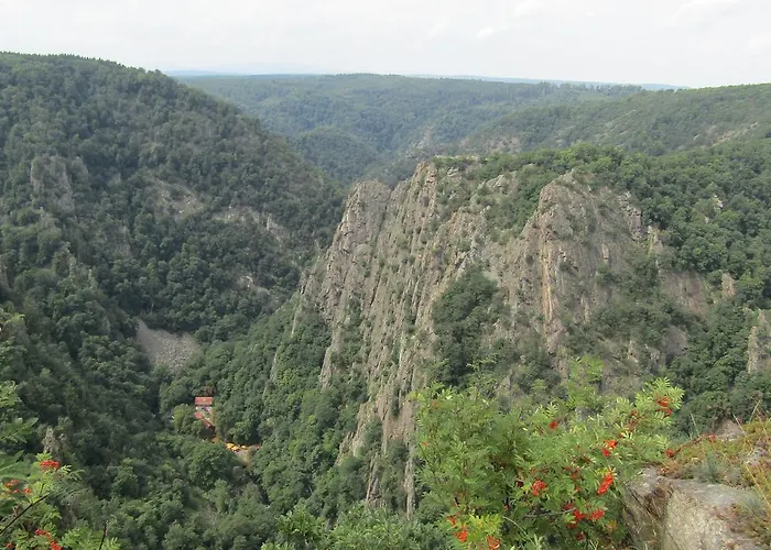 Ξενοδοχείο Harzresidenz 3*